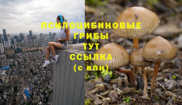 мдма Зерноград