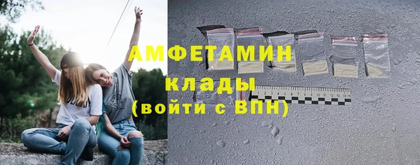 сатива Иннополис