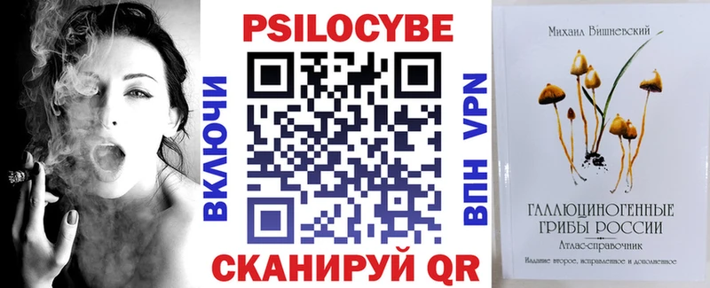 Галлюциногенные грибы Psilocybe  Купить  Дрезна 